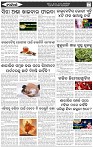 Page-6