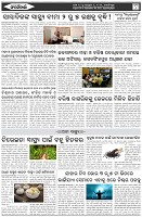 Page-6