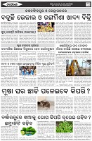 Page-6