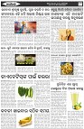 Page-6
